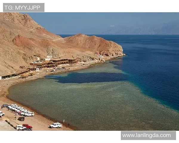 极限运动战术解析:杭州极限运动队的创新进攻体系与战术布局探讨 极限运动战术解析:杭州极限运动队的创新进攻体系与战术布局探讨