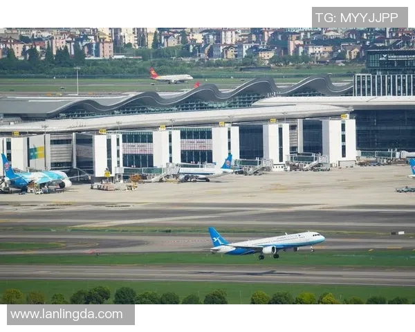 杭州篮球队在比赛经验上创下新高引发热议球队实力再上台阶