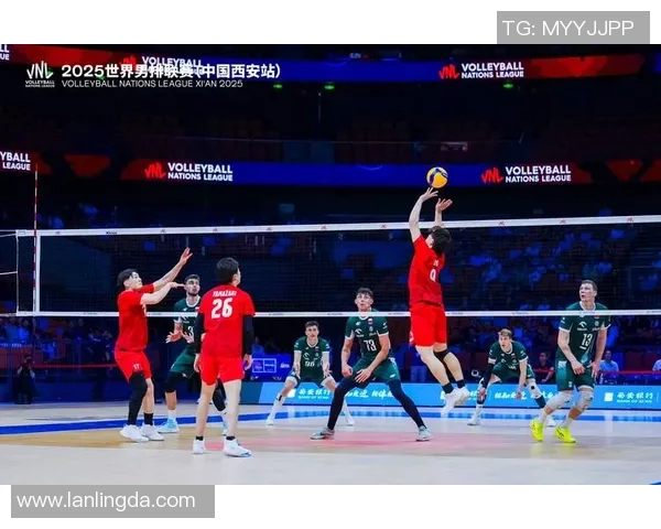 排球盛宴：深入解析西安排球队的战术思维与团队意识