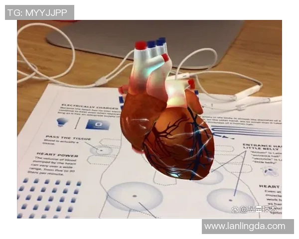 西安乒乓球队快攻革新之路:技术突破与战术创新的深度解析 西安乒乓球队快攻革新之路:技术突破与战术创新的深度解析